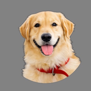 Coco, Chief Happiness Officer at CLOUDIT